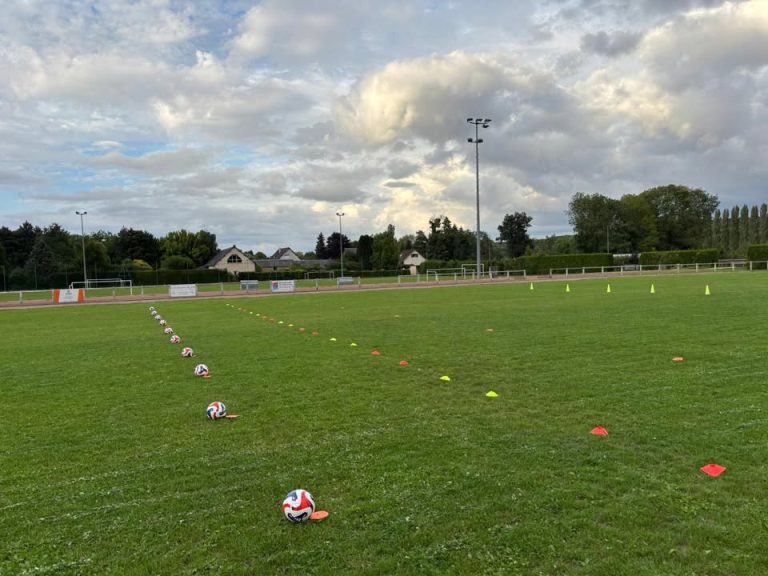 Bonjour tout le monde !