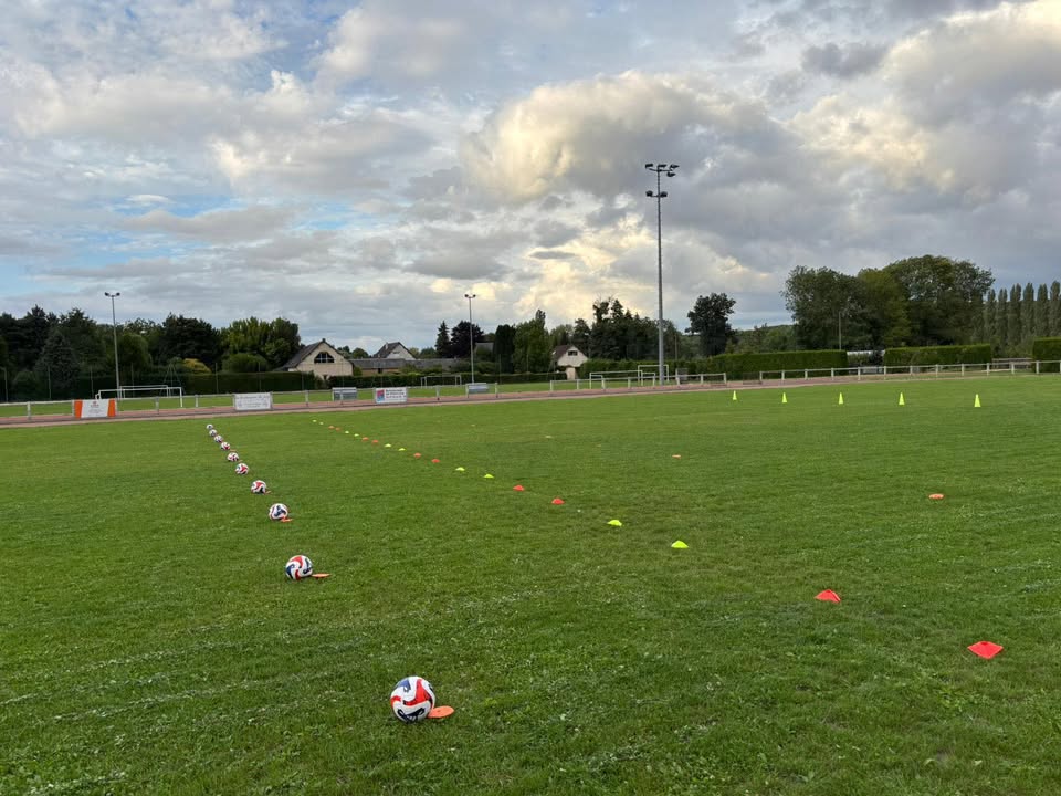 Bonjour tout le monde !